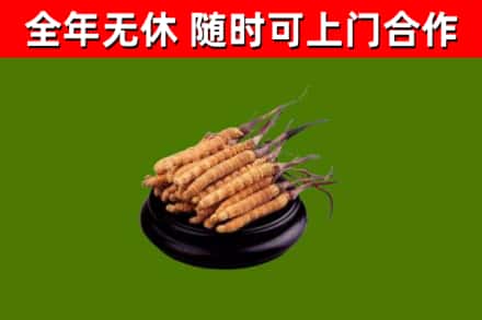 孝昌县烟酒回收冬虫夏草.jpg